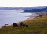 Simrishamns Turistbyrå