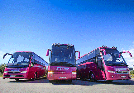 Tapanis Buss