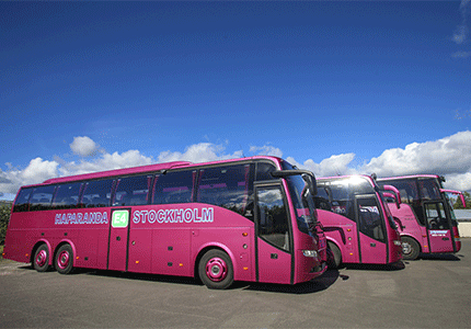 Tapanis Buss