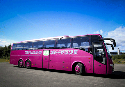 Tapanis Buss