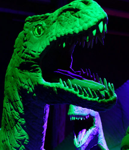 Dino 4