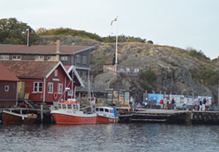 Kosterhavet mellan kobbar och skär