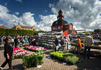 KronoCamping och småstaden Lidköping