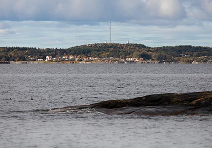 Kosterhavet mellan kobbar och skär