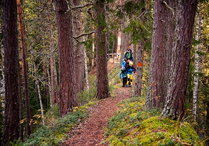 Höga Kusten