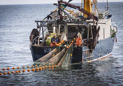 Trålning i kosterhavet-hållbart fiske