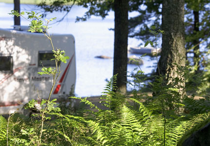 Husvagn på campingplats